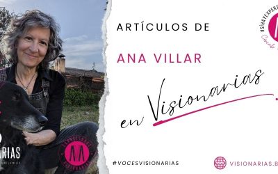 Artículos Ana Villar