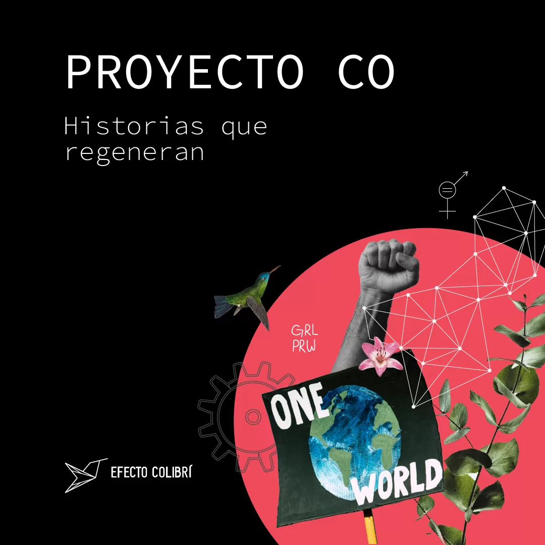 Acelera tu Marca Digital en LinkedIN